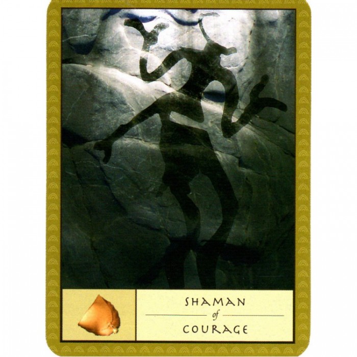 The Shamans Oracle Κάρτες Μαντείας